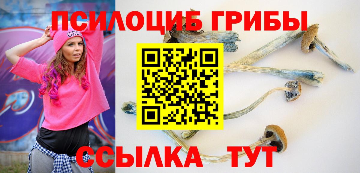 Галлюциногенные грибы прущие грибы  Вход с VPN  Ставрополь  Псилоцибиновые грибы ЛСД 