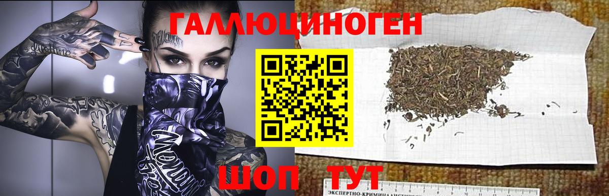 Галлюциногенные грибы мухоморы Ставрополь